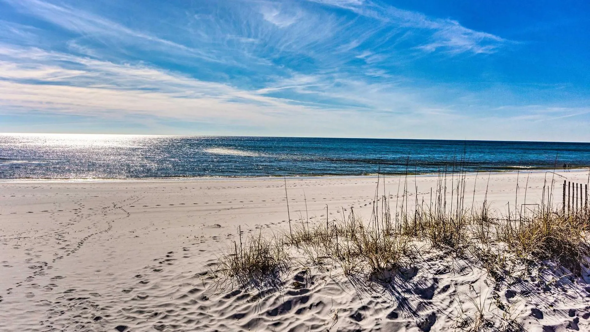 Coastal Pcb Condo - Walk To The Ocean! Panama City Beach 0*,  United States